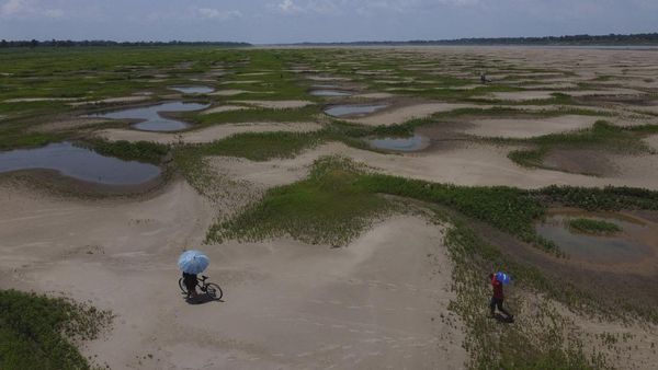 Kekeringan Parah, Sungai Amazon Berubah Jadi Savana