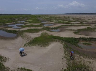 Kekeringan Parah, Sungai Amazon Berubah Jadi Savana