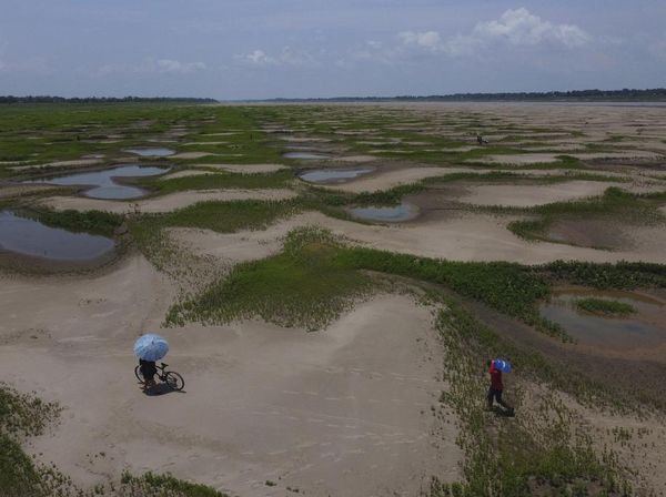 Kekeringan Parah, Sungai Amazon Berubah Jadi Savana