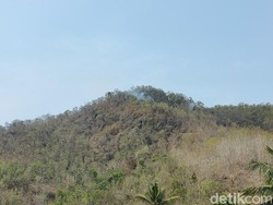 Lagi! Gunung Roto di Kokap Kulon Progo Terbakar Siang Ini