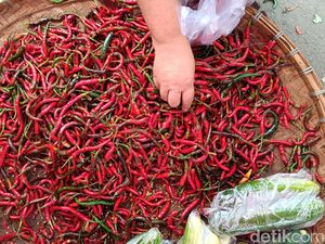 Harga Sembako Jogja Hari Ini 12 Juni 2025: Cabai Merah Keriting Bangkit Lagi! Harga Sembako Jogja Hari Ini 12 Juni 2025: Cabai Merah Keriting Bangkit Lagi!