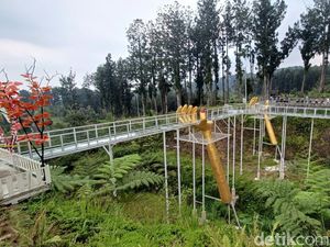 Detik-detik Jembatan Kaca di Banyumas Pecah hingga Tewaskan 1 Orang Detik-detik Jembatan Kaca di Banyumas Pecah hingga Tewaskan 1 Orang