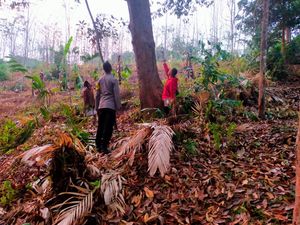 Tersambar Petir Saat Panjat Pohon Durian di Pekalongan, 2 Orang Tewas Tersambar Petir Saat Panjat Pohon Durian di Pekalongan, 2 Orang Tewas