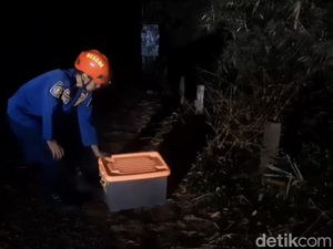 Monyet Ekor Panjang yang Resahkan Warga Dilepasliar di Gede Pangrango