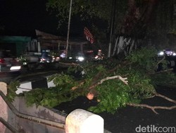 Ranting Pohon Berceceran Bikin Pemotor Berjatuhan di Jalan Sudirman Sukoharjo