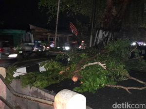 Ranting Pohon Berceceran Bikin Pemotor Berjatuhan di Jalan Sudirman Sukoharjo Ranting Pohon Berceceran Bikin Pemotor Berjatuhan di Jalan Sudirman Sukoharjo