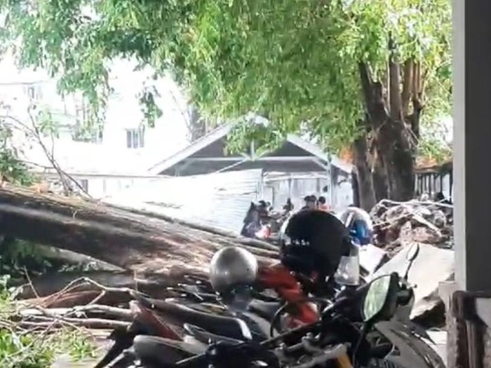 Pohon tumbang di parkiran UMS menimpa sejumlah motor, Rabu (25/10/2023). Foto: dok. Istimewa
