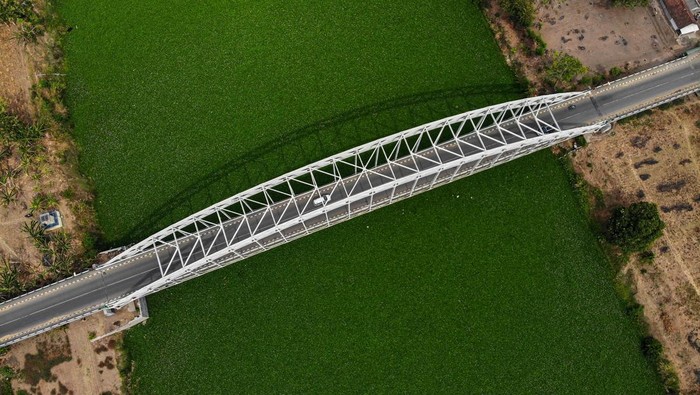 Sungai Bengawan Solo Hampir Sebulan Jadi Hijau, Ekosistem Terancam sungai-bengawan-solo-dipenuhi-enceng-gondok-1_169.jpeg (700×395)