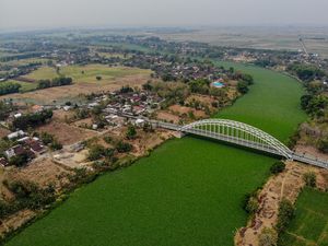 Penampakan Sungai Bengawan Solo yang Dipenuhi Eceng Gondok Penampakan Sungai Bengawan Solo yang Dipenuhi Eceng Gondok