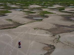 Kekhawatiran Para Ahli Kekeringan Amazon Sulit Pulih