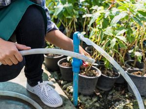 Ini Perbedaan Kualitas Air Sumur Bor dan Sumur Gali Ini Perbedaan Kualitas Air Sumur Bor dan Sumur Gali