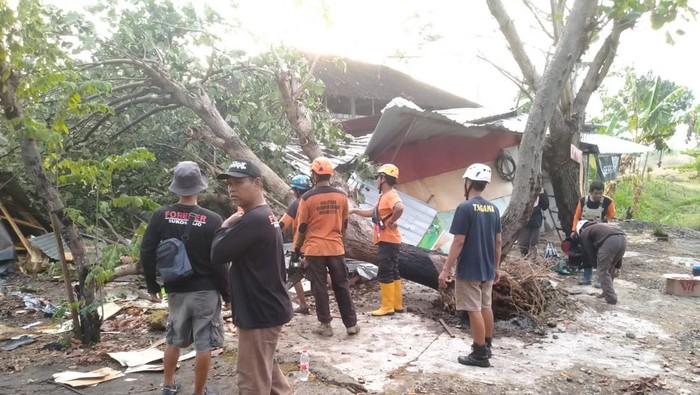 Bangunan rusak tertimpa pohon tumbang di Sukoharjo, Kamis (26/10/2023). Foto: Dok BPBD Sukoharjo