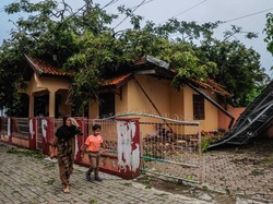 Korban Tewas Akibat Pohon Tumbang di Pandeglang Bertambah Jadi 2 Orang