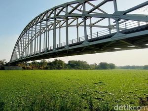 Bengawan Solo di Bojonegoro Menghijau Penuh Eceng Gondok Bengawan Solo di Bojonegoro Menghijau Penuh Eceng Gondok