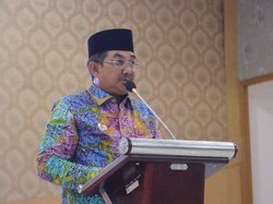 Bupati Tanjabbar Keluhkan Banyak Sawah Jadi Lahan Sawit