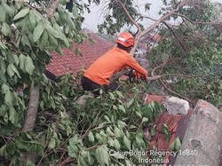 501 Rumah di Cariu Bogor Terdampak Usai Dilanda Hujan Disertai Angin Kencang