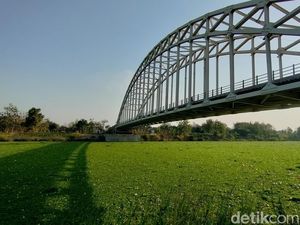 Sungai Bengawan Solo di Bojonegoro Dipenuhi Eceng Gondok Sungai Bengawan Solo di Bojonegoro Dipenuhi Eceng Gondok