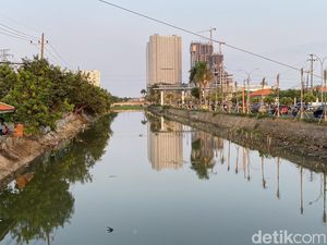 Eceng Gondok yang Penuhi Sungai di Kalisari Damen Surabaya Mulai Berkurang Eceng Gondok yang Penuhi Sungai di Kalisari Damen Surabaya Mulai Berkurang