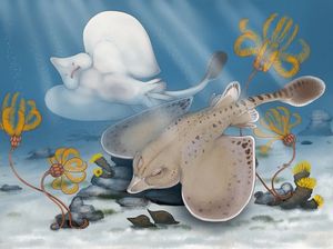 Ditemukan Spesies Hiu Baru! Sisa Fosil Ditemukan di Dinding & Langit-langit Gua