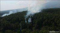 Hutan Pinus di Kaki Gunung Semeru Terbakar