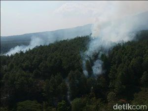 Hutan Pinus di Kaki Gunung Semeru Terbakar Hutan Pinus di Kaki Gunung Semeru Terbakar