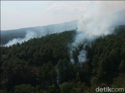 Hutan Pinus di Kaki Gunung Semeru Terbakar