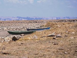 Ilmuwan Desak WHO Deklarasikan Kondisi Darurat Kesehatan Global