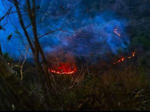 Bukit Menoreh Kalibawang Kulon Progo Terbakar Lagi, Diduga Ini Sebabnya Bukit Menoreh Kalibawang Kulon Progo Terbakar Lagi, Diduga Ini Sebabnya