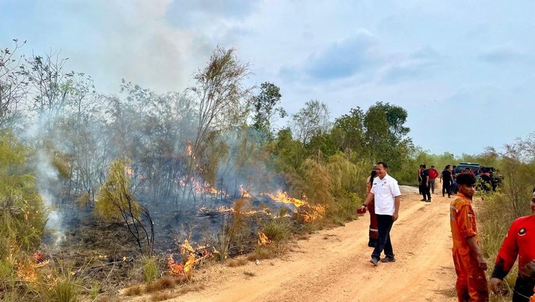 Lahan Dekat PLTU Bangka Terbakar, 120 Hektare Hangus