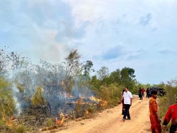 Kebakaran Lahan Gambut di Bangka Meluas, 210 Hektare Terdampak