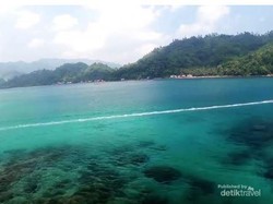 Laut Khatulistiwa Berubah Warna, Apa Sebabnya?