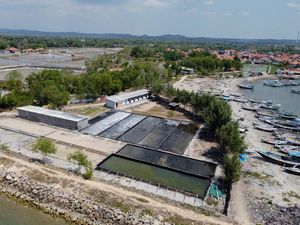 Ini Cara Pertamina Hulu Energi WMO Perkuat Ekonomi Masyarakat Bayusangka