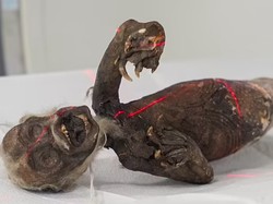 Misteri Mumi Putri Duyung Jenglot Terungkap, Ini Kata Ilmuwan