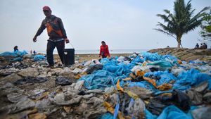 Duh, Sampah Plastik Kotori Pantai di Padang