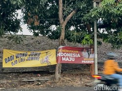 Spanduk Petruk Ojo Ilang Jowone Marak di Solo-Semarang, PDIP Buka Suara