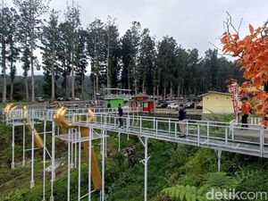 Rugi Rp 100 Juta di Hutan Wisata Karena Jembatan Kaca Banyumas Pecah Rugi Rp 100 Juta di Hutan Wisata Karena Jembatan Kaca Banyumas Pecah