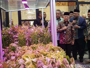 Master Plan Industri Halal 2024-2029 Diluncurkan, Maruf Amin: Konkretkan!