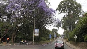 10 Kota Destinasi Terbaik Pilihan Lonely Planet 2024, Ada di Indonesia Juga!