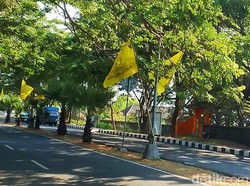 Golkar Ancam Somasi Satpol PP-Mahasiswa Titipan Pejabat di Unud