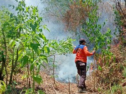1.048 Hektare Hutan di Lereng Gunung Agung Terbakar dalam Sebulan