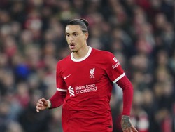 Nunez Nggak Cuma Nganggur di Liverpool