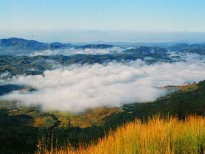 Terjadi Lagi, Turis Korea Tewas Saat Liburan di Vietnam