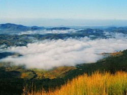 Terjadi Lagi, Turis Korea Tewas Saat Liburan di Vietnam