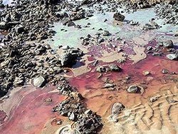 Bola-bola Misterius Muncul, 9 Pantai di Australia Ditutup!