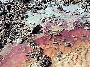 Bola-bola Misterius Muncul, 9 Pantai di Australia Ditutup! Bola-bola Misterius Muncul, 9 Pantai di Australia Ditutup!