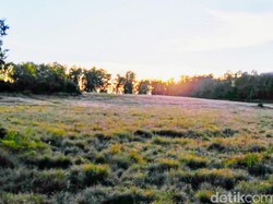 Cuaca Ekstrem Menurun, Pendakian Argopuro di Situbondo Dibuka Lagi
