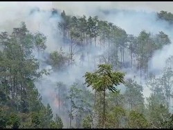 Kebakaran Belum Padam, Hutan Merbabu Berselimut Asap Tebal