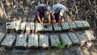 Mencari Cuan dari Ternak Kepiting Bakau