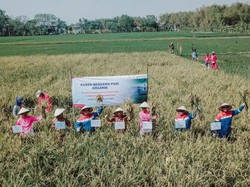 Pertamina EP Sukowati Kembangkan Pertanian Organik untuk Petani di Tuban