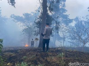 Kebakaran Hutan Gunung Merbabu di Semarang Padam, Petugas Tetap Disiagakan